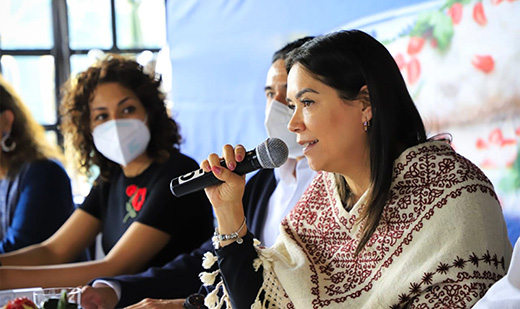 Toluca3