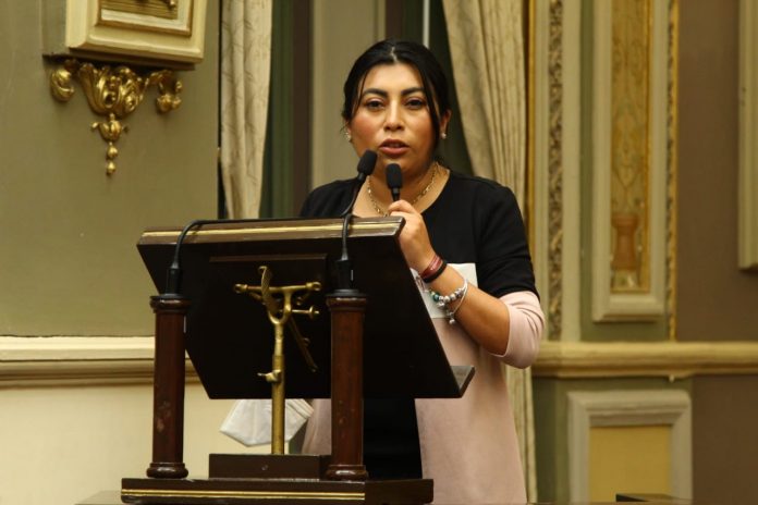 diputados (5)