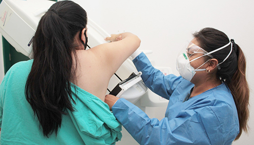 imss (2)