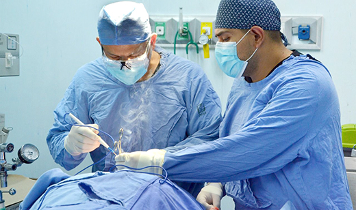 imss (3)