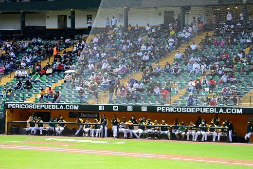 pericos2