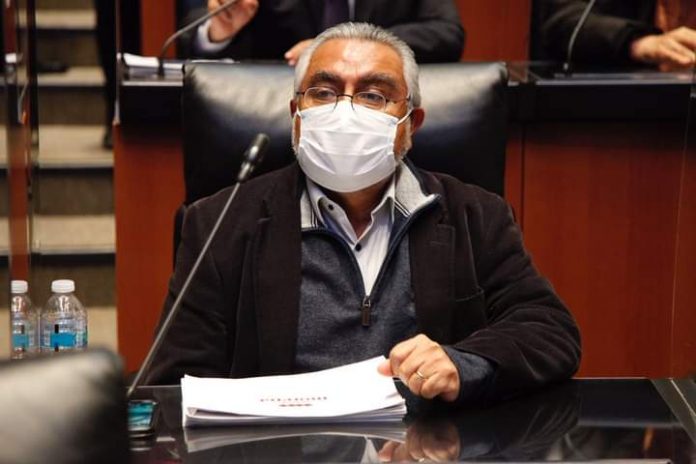 diputado