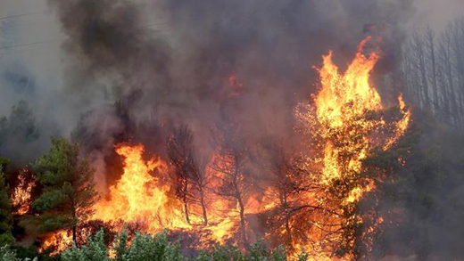 incendio2