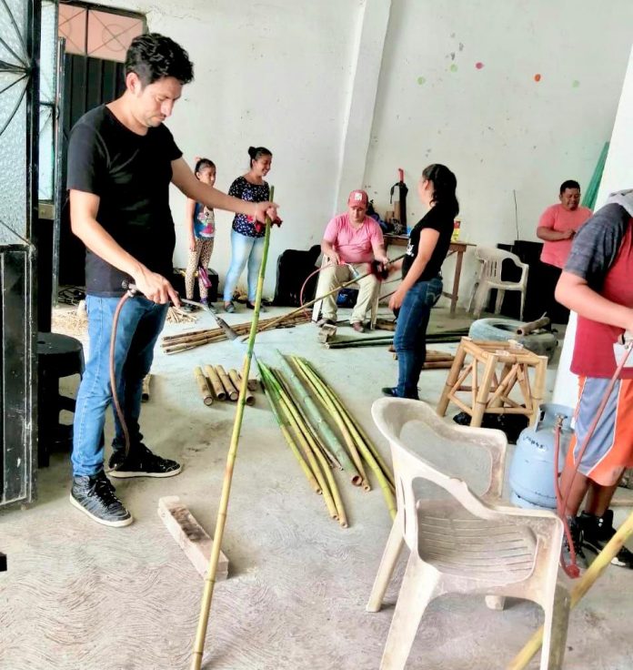 Bambú