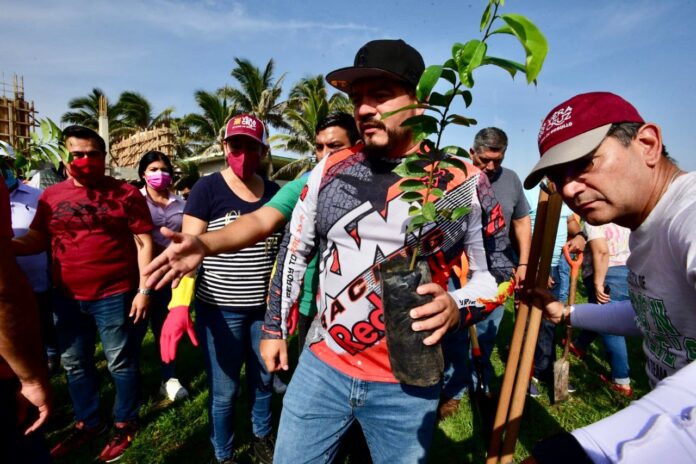 reforestando