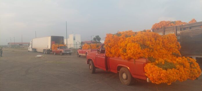Atlixco 04-11-22