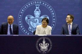 B Informe IF (1)