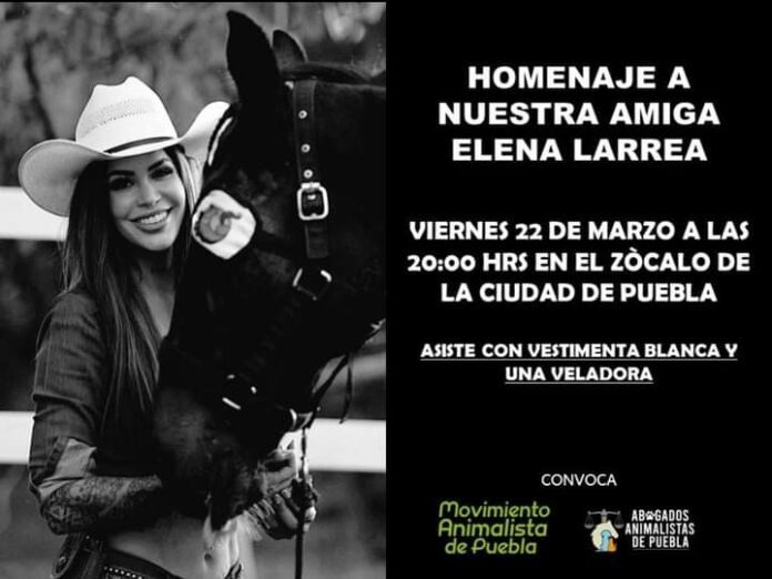 Larrea 20-03-24