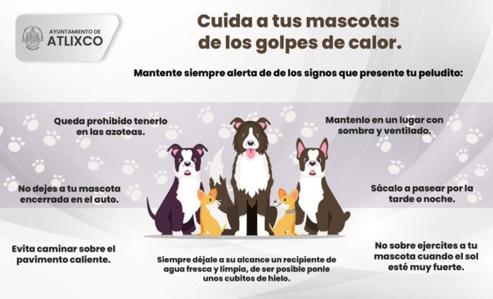Atlixco 24-04-24