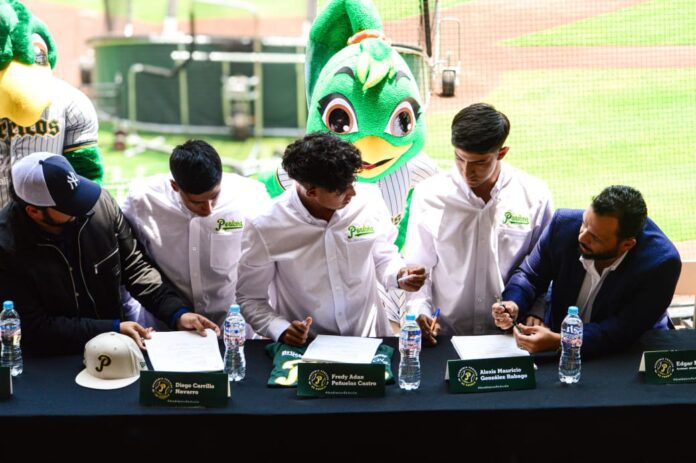 Pericos 26-04-25
