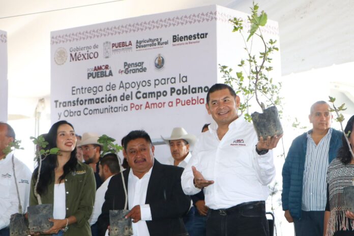 Armenta1 12-12-25