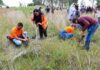 Continúan reforestaciones constantes en el Cerro Zapotecas de San Pedro Cholula