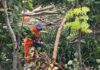 Gobierno de Cuautlancingo mantiene atención a afectaciones derivadas de la lluvia