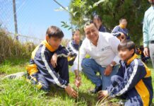 Gobierno de Juan Manuel Alonso incrementa 52% la plantación de árboles