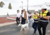 Gobierno Estatal alcanza el 88 por ciento de avance en la Célula de Bienestar Animal